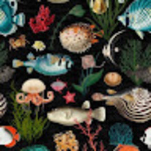 Meet your Posher, Janelle